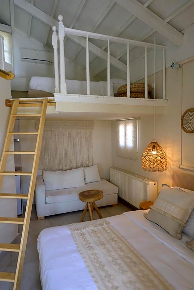 Oikies Small Elegant Houses