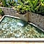 Gaia Hotel & Reserve- Adults Only