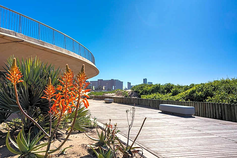 Stunning Sails on Point G403