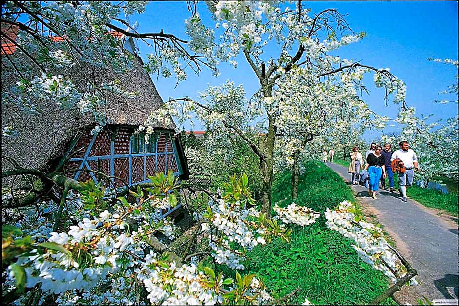 H+ Hotel Stade Herzog Widukind