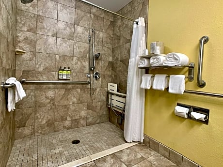 King Room - Disability Access Roll in Shower