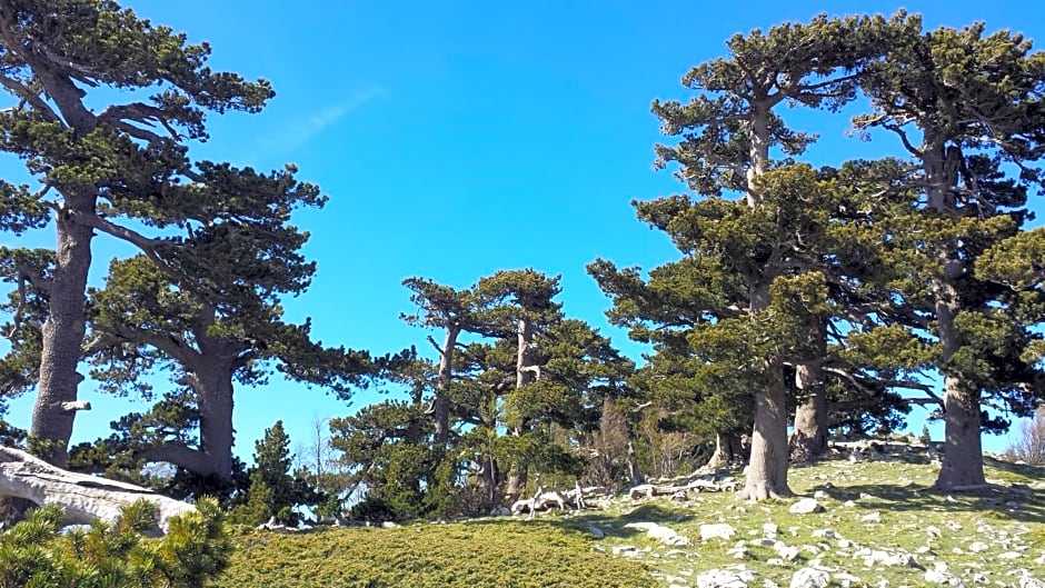 Tana Libera Tutti 1 Nature, Yourself, Love