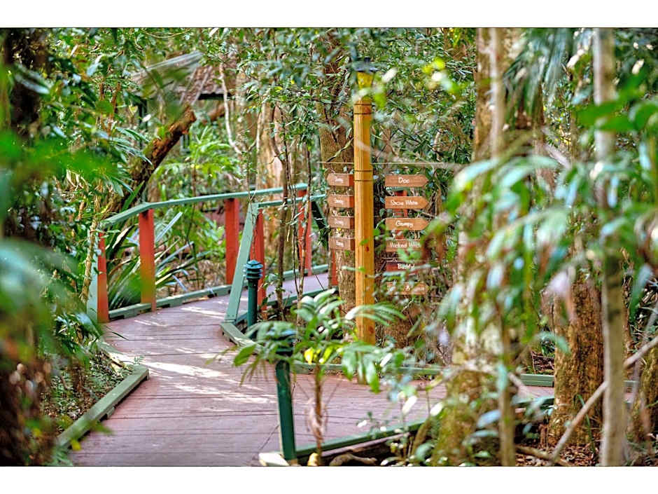 The Mouses House Rainforest Retreat