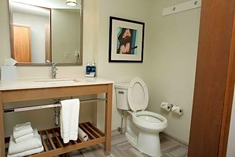 Suite, 1 Bedroom (1 King Bed and 1 Double Sofa Bed)