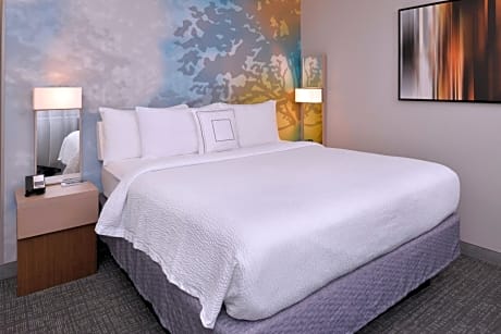 1 Bedroom 2 room Suite, 1 King, Sofa bed