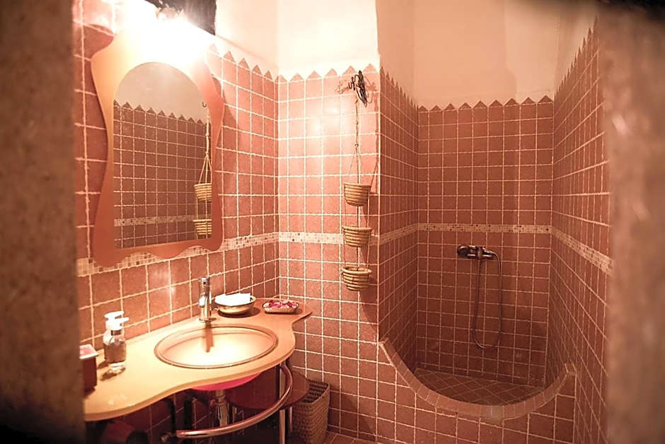 Riad Safir