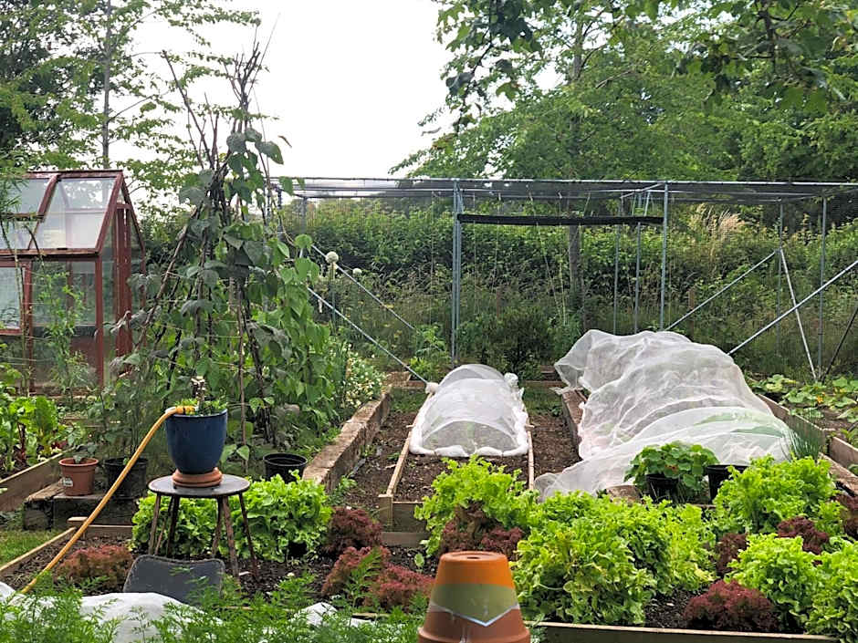 Pear Tree Inn Whitley