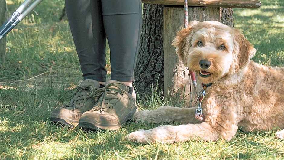 Landhaus Alte Schmiede