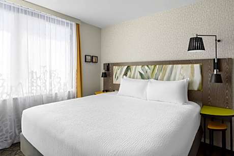 Studio King, Terrace, Mini Kitchenette, 1 King