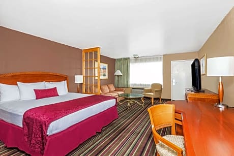 1 King Bed Deluxe Studio Suite Non-Smoking