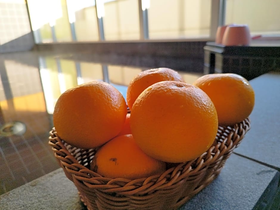 Hotel Shin Imamiya