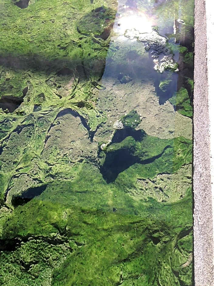 Hotel Terme Principe