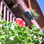 Le Rosier B&B e Appartamento