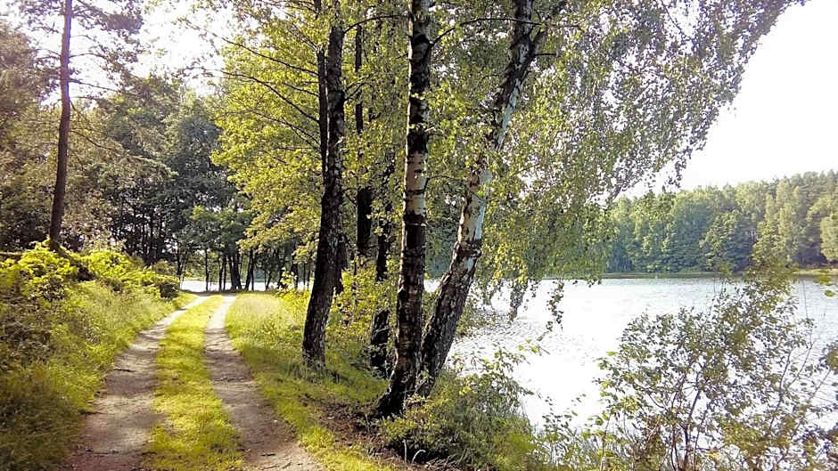 Hotel Miłosz Restauracja, Basen dla dzieci, Sala Zabaw, Siłownia