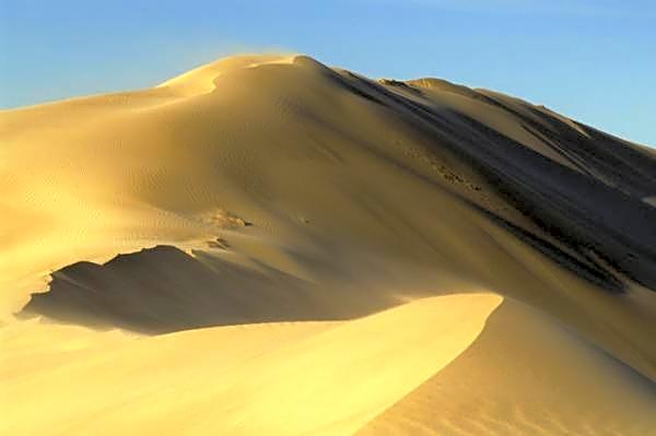 Dungbeetle River Lodge