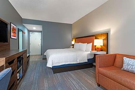 King Room - Hearing Access/Non-Smoking