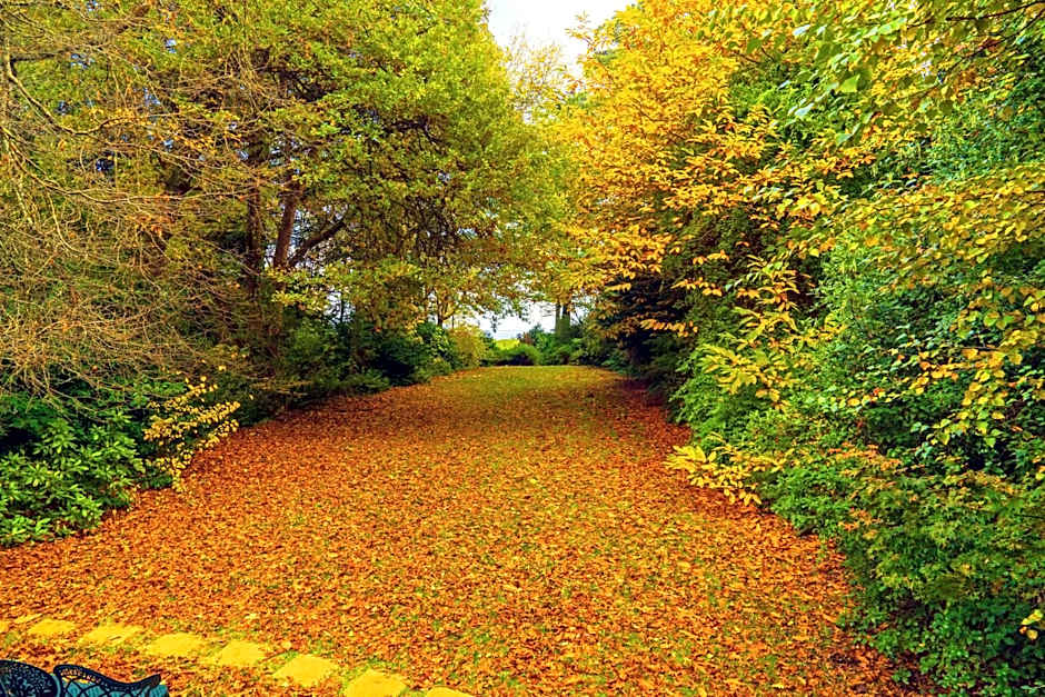 Arnica Views Summit Retreat