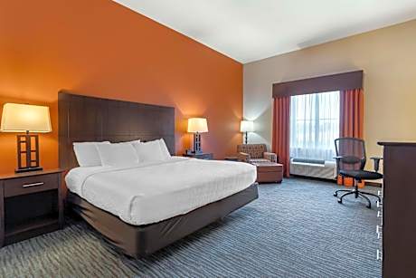 King Room with Roll-In Shower - Disability Access