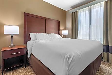 Comfort Suites Plano