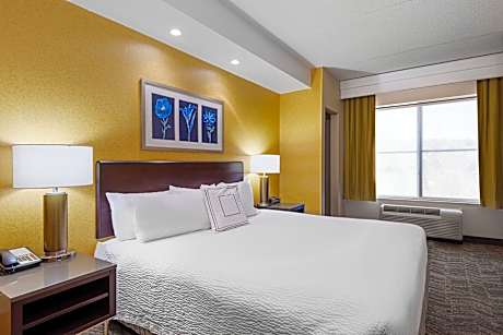 Suite, 1 King Bed with Sofa bed (1 King Bed and 1 Double Sofa Bed)