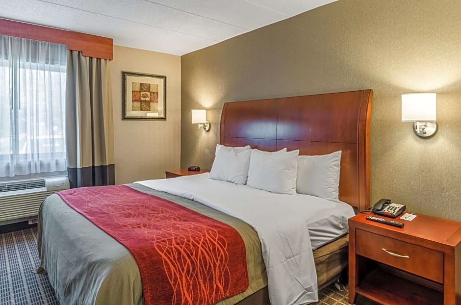 Comfort Inn & Suites West Springfield