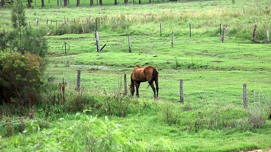 Andavine House - Bed & Breakfast