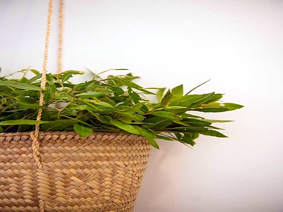 Villas HM Palapas del Mar