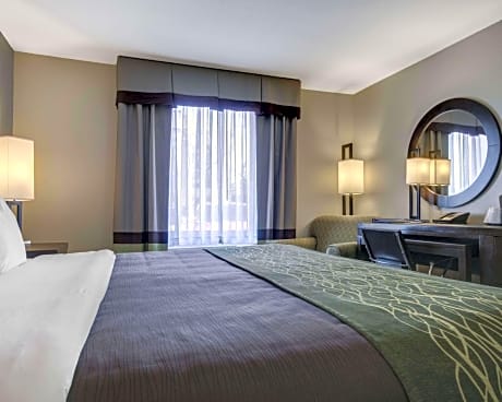 1 King Bed, Nonsmoking