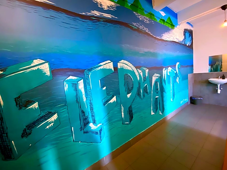 Urban Elephants Hostel