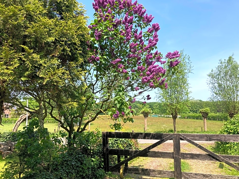 B&BOosterweg3 Studio - Free private parking