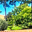 Villa Orsini