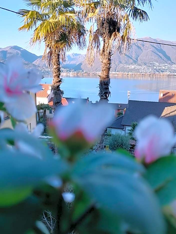 Albergo Ristorante Al Portico
