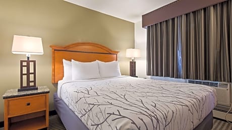 King Room with Sofa Bed - Non-Smoking