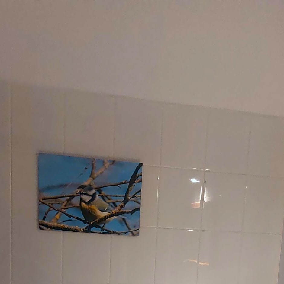 Dom na Mazurach Pilec