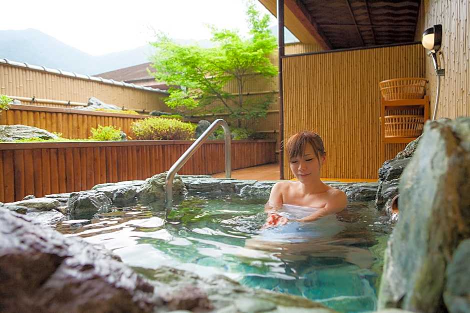 Iya Onsen Hotel Kazurabashi