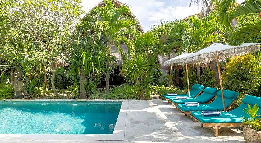 Tigerlilly's Boutique Hotel