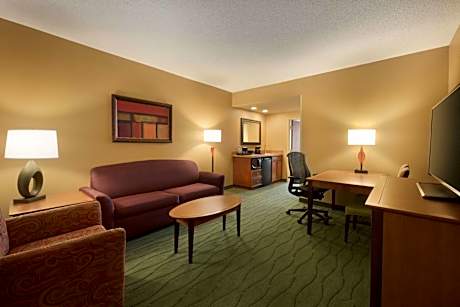 1 King Suite Premium Room Non-Smoking