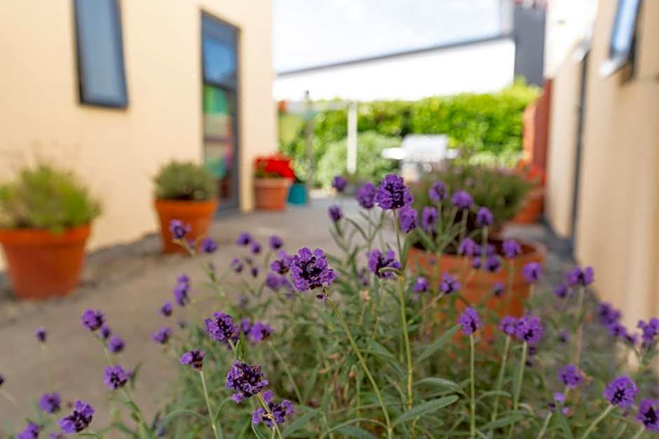 Bella Vista Motel Ashburton