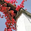 Hotel Villa Angelica - Adults Only