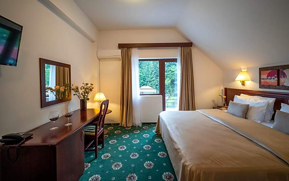 Zan Hotel Voineasa