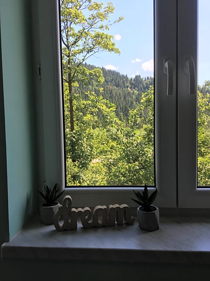 Pokoje Gościnne Pod Jaworem - obok pięknego szlaku wzdłuż rzeki Białka, 1km do stoków Kotelnica