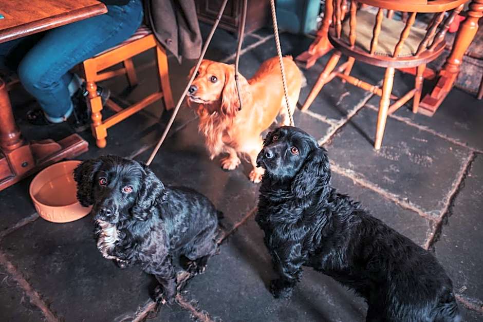 The White Horse Inn Bunkhouse