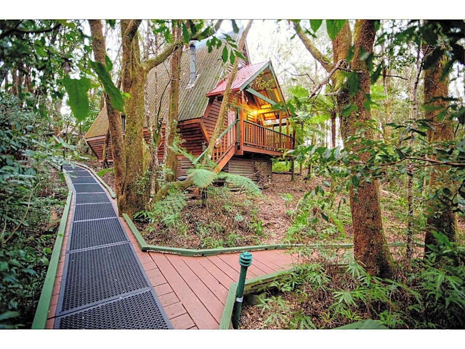 The Mouses House Rainforest Retreat