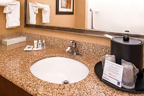 1 King Bed, Suite, Nonsmoking