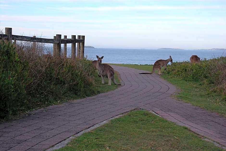 Emerald Tropical Palms B & B