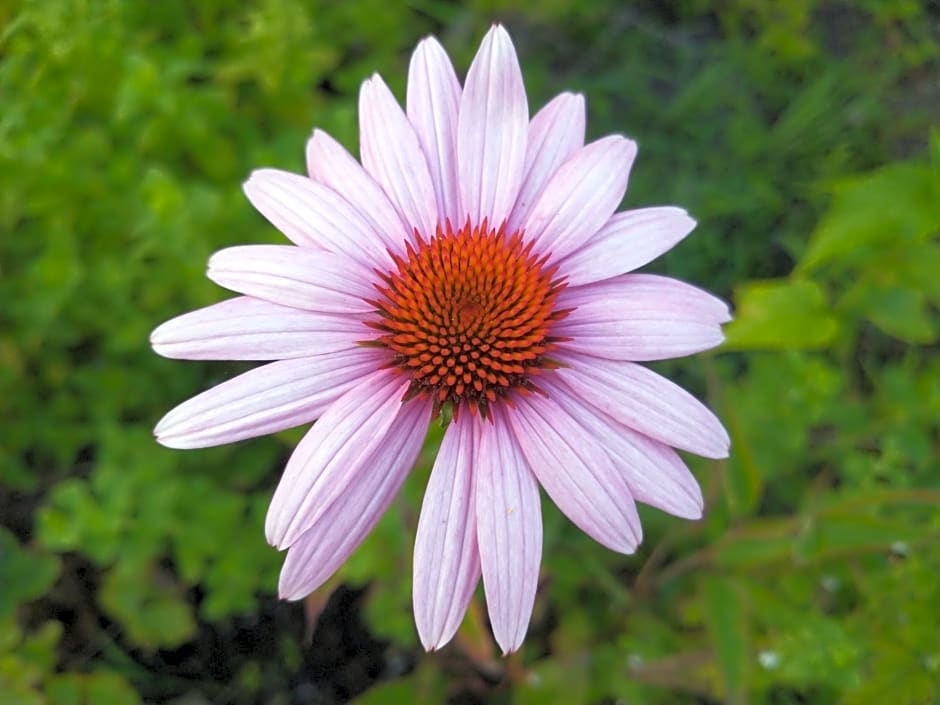 B&Bslapenopeeneiland