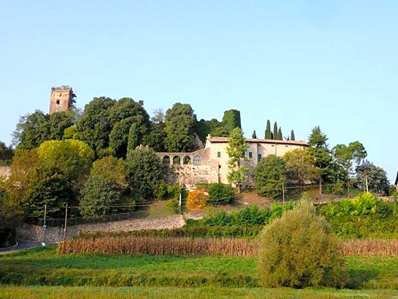 B&B Pivi