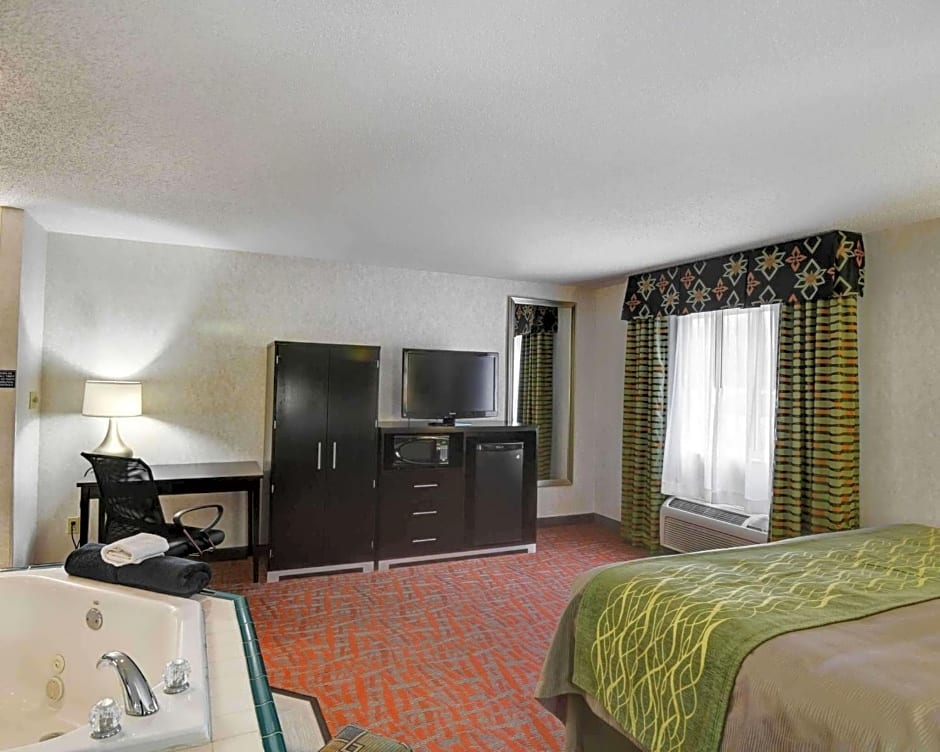 Comfort Inn - Painesville