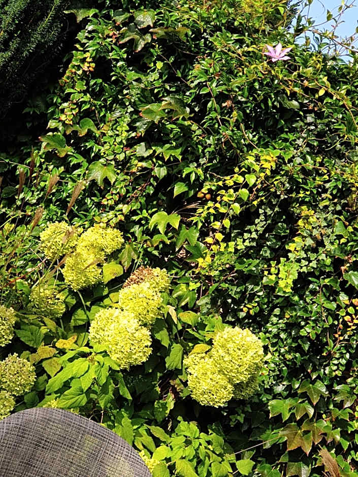 Villa Augeval Hotel de charme & Spa