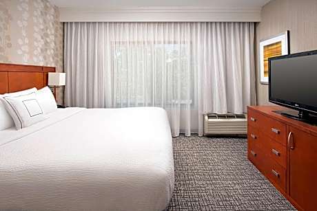 1 Bedroom 2 Room Suite, 1 Bedroom 2 room Suite, 1 King, Non-Private Sofa bed